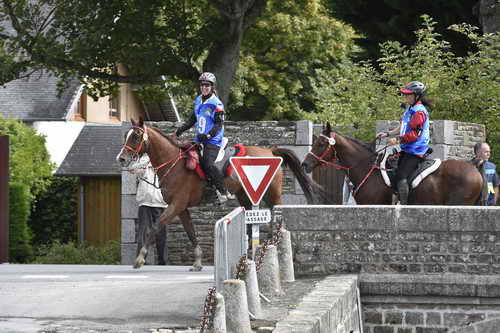WEG-EnduranceRace-8-28-14-0002910-DDeRosaPhoto