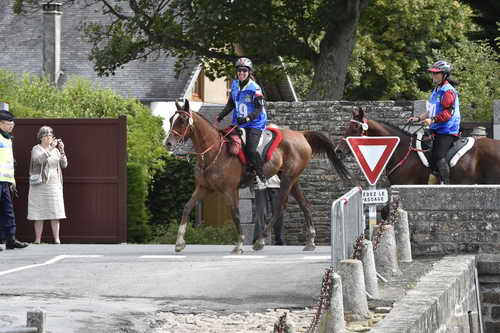 WEG-EnduranceRace-8-28-14-0002911-DDeRosaPhoto