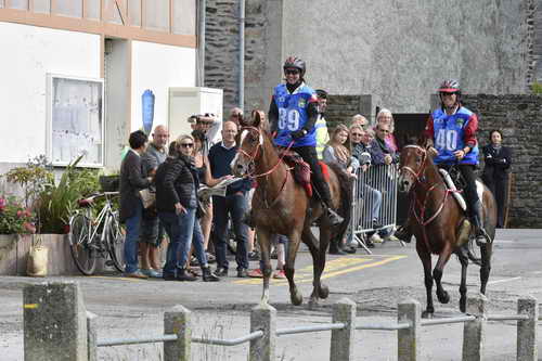 WEG-EnduranceRace-8-28-14-0002928-DDeRosaPhoto