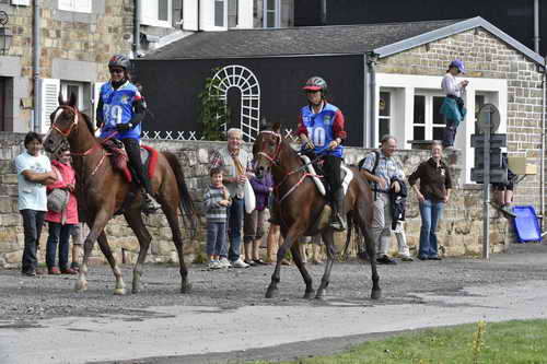 WEG-EnduranceRace-8-28-14-0002941-DDeRosaPhoto