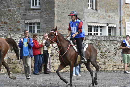 WEG-EnduranceRace-8-28-14-0002949-DDeRosaPhoto