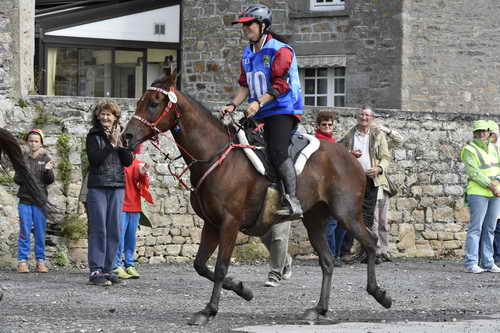 WEG-EnduranceRace-8-28-14-0002952-DDeRosaPhoto
