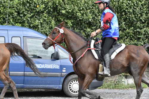 WEG-EnduranceRace-8-28-14-0002958-DDeRosaPhoto
