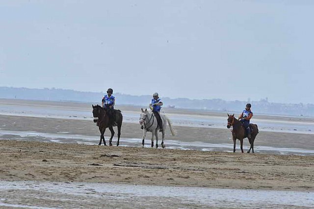 WEG-EnduranceRace-8-28-14-0004516-DDeRosaPhoto