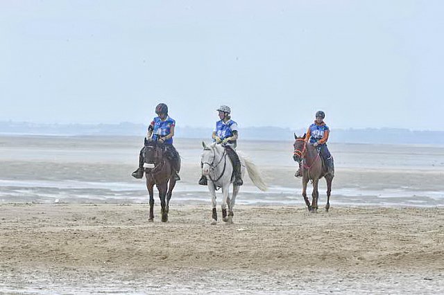 WEG-EnduranceRace-8-28-14-0004543-DDeRosaPhoto