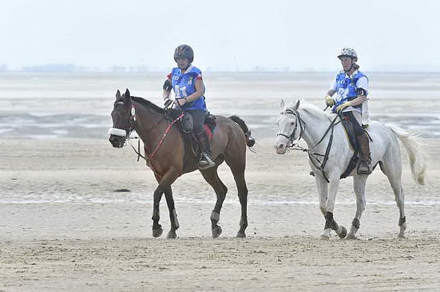 WEG-EnduranceRace-8-28-14-0004576-DDeRosaPhoto