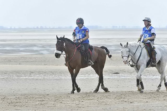 WEG-EnduranceRace-8-28-14-0004577-DDeRosaPhoto