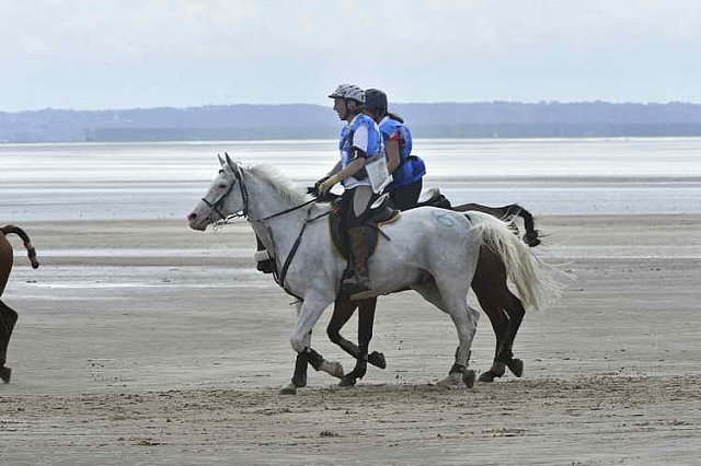 WEG-EnduranceRace-8-28-14-0004600-DDeRosaPhoto
