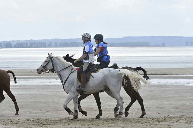 WEG-EnduranceRace-8-28-14-0004606-DDeRosaPhoto