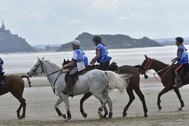 WEG-EnduranceRace-8-28-14-0004614-DDeRosaPhoto