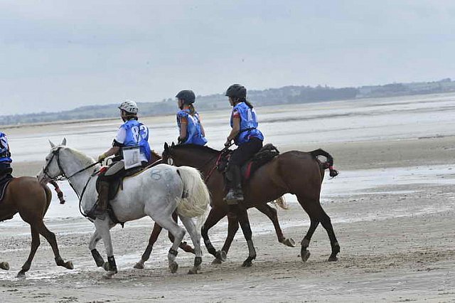 WEG-EnduranceRace-8-28-14-0004631-DDeRosaPhoto