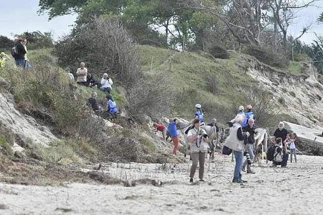 WEG-EnduranceRace-8-28-14-0004709-DDeRosaPhoto