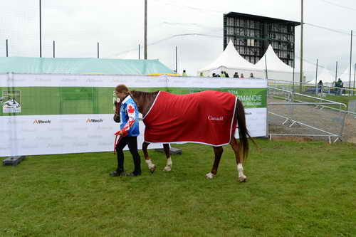WEG2-EnduranceJog-8-27-14-4799-DDeRosaPhoto