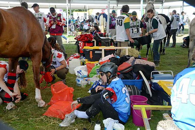 WEG2-Endurance-8-28-14-6551-DDeRosaPhoto