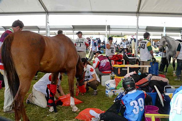 WEG2-Endurance-8-28-14-6555-DDeRosaPhoto