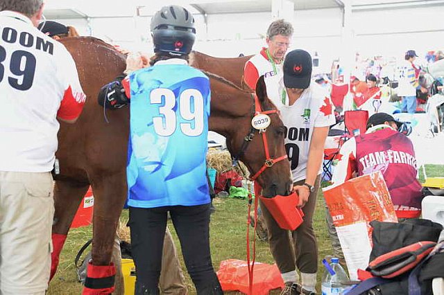 WEG2-Endurance-8-28-14-6597-DDeRosaPhoto