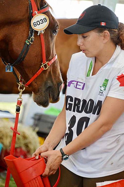 WEG2-Endurance-8-28-14-6611-DDeRosaPhoto