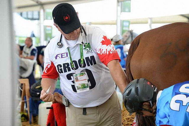 WEG2-Endurance-8-28-14-6627-DDeRosaPhoto