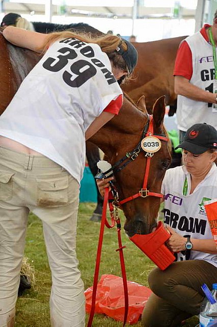 WEG2-Endurance-8-28-14-6642-DDeRosaPhoto