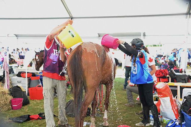 WEG2-Endurance-8-28-14-6653-DDeRosaPhoto
