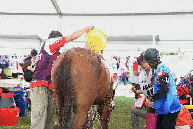 WEG2-Endurance-8-28-14-6659-DDeRosaPhoto