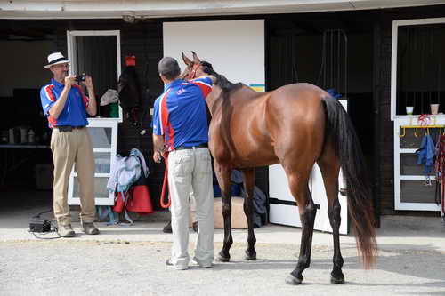WEG-Endurance-8-24-14-4416-MegSleeper-SyroccoReveille-DDeRosaPhoto