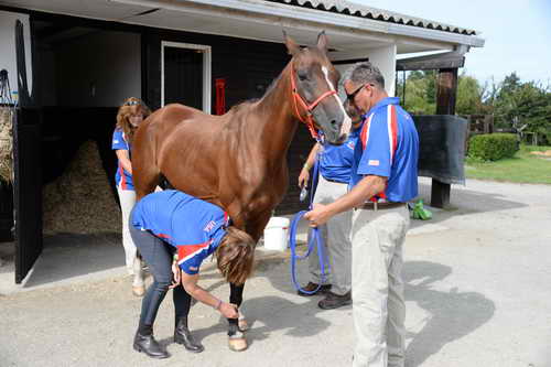 WEG-Endurance-8-24-14-4443-MegSleeper-SyroccoReveille-DDeRosaPhoto