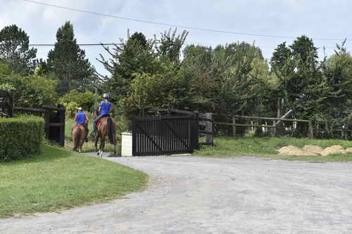 WEG-Endurance-8-24-14-0003619-DDeRosaPhoto