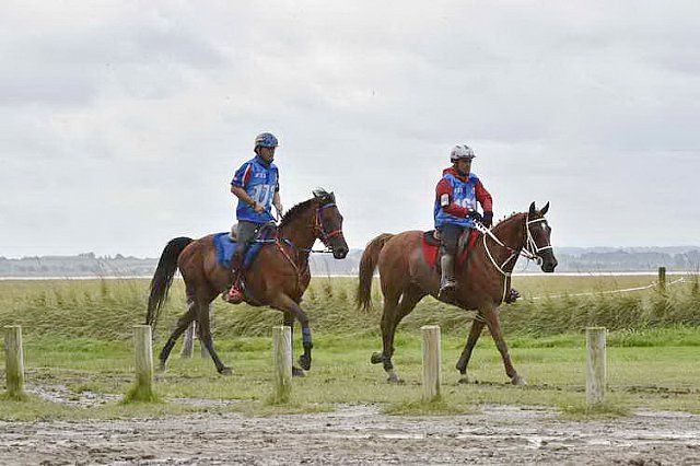 WEG-EnduranceRace-8-28-14-0002199-DDeRosaPhoto