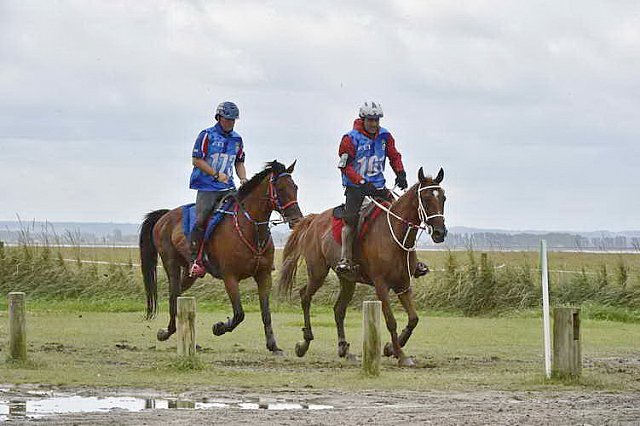 WEG-EnduranceRace-8-28-14-0002208-DDeRosaPhoto