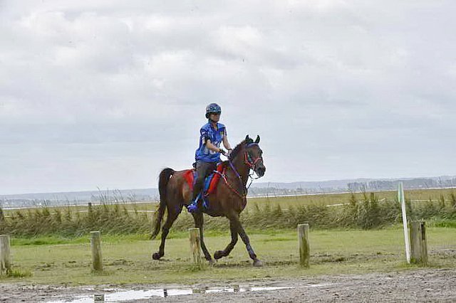 WEG-EnduranceRace-8-28-14-0002287-DDeRosaPhoto