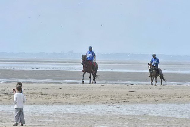 WEG-EnduranceRace-8-28-14-0003793-DDeRosaPhoto