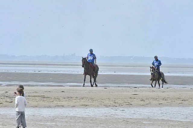 WEG-EnduranceRace-8-28-14-0003794-DDeRosaPhoto