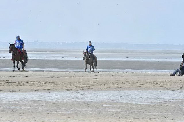 WEG-EnduranceRace-8-28-14-0003798-DDeRosaPhoto