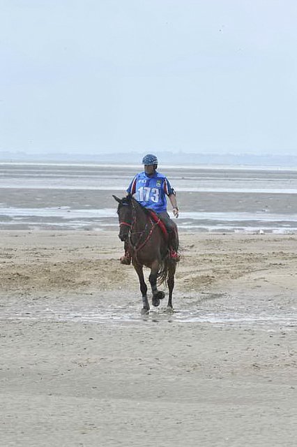 WEG-EnduranceRace-8-28-14-0003835-DDeRosaPhoto
