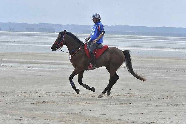 WEG-EnduranceRace-8-28-14-0003865-DDeRosaPhoto