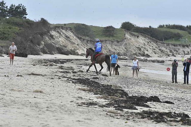 WEG-EnduranceRace-8-28-14-0003904-DDeRosaPhoto