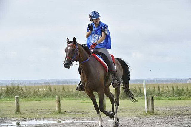 WEG-EnduranceRace-8-28-14-0001711-DDeRosaPhoto