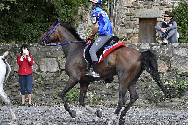 WEG-EnduranceRace-8-28-14-0001761-DDeRosaPhoto