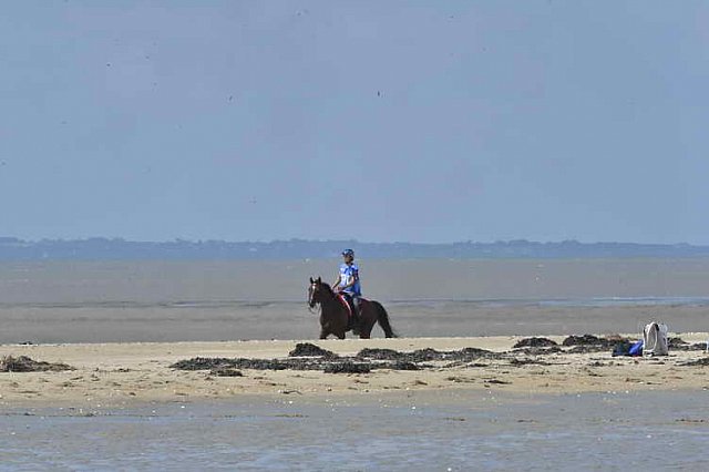 WEG-EnduranceRace-8-28-14-0003352-DDeRosaPhoto