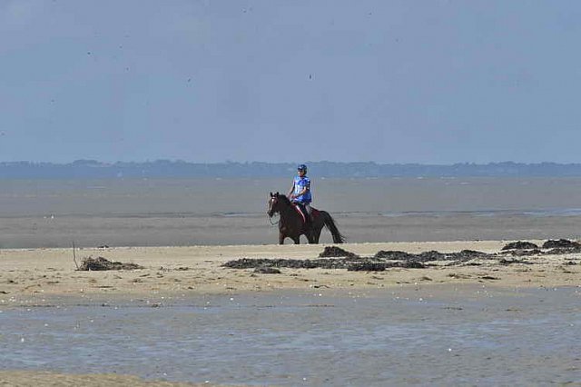WEG-EnduranceRace-8-28-14-0003353-DDeRosaPhoto