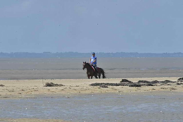 WEG-EnduranceRace-8-28-14-0003356-DDeRosaPhoto