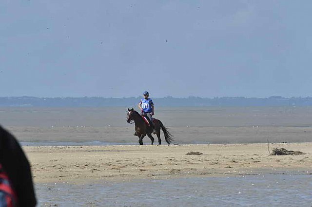 WEG-EnduranceRace-8-28-14-0003367-DDeRosaPhoto