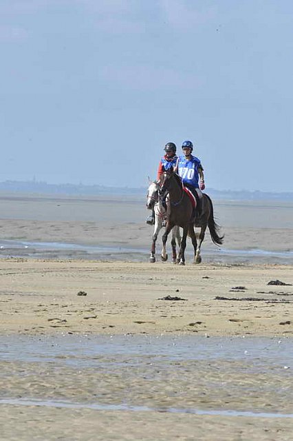 WEG-EnduranceRace-8-28-14-0003385-DDeRosaPhoto