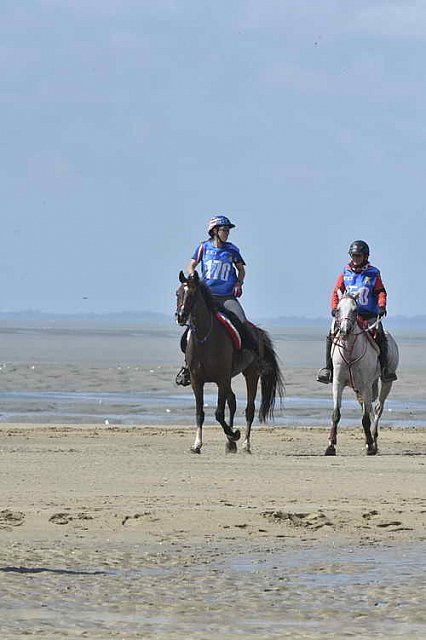 WEG-EnduranceRace-8-28-14-0003395-DDeRosaPhoto