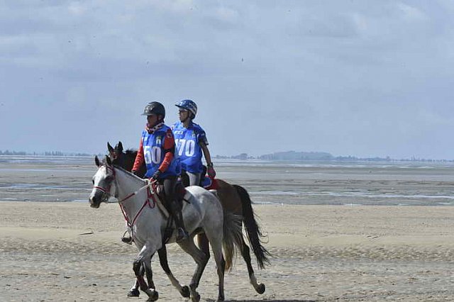 WEG-EnduranceRace-8-28-14-0003425-DDeRosaPhoto