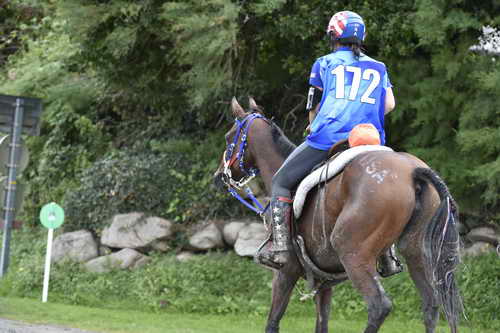 WEG-EnduranceRace-8-28-14-0001956-DDeRosaPhoto