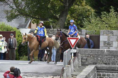 WEG-EnduranceRace-8-28-14-0001969-DDeRosaPhoto