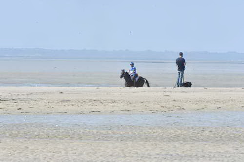WEG-EnduranceRace-8-28-14-0003608-DDeRosaPhoto