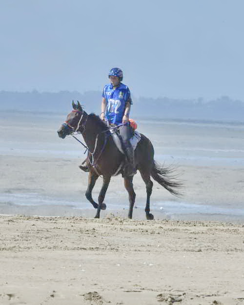 WEG-EnduranceRace-8-28-14-0003613-DDeRosaPhoto - Copy